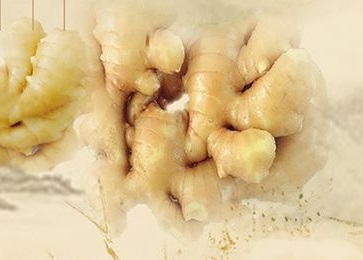 姜療—法國雅馨安娜溫宮調理養生套