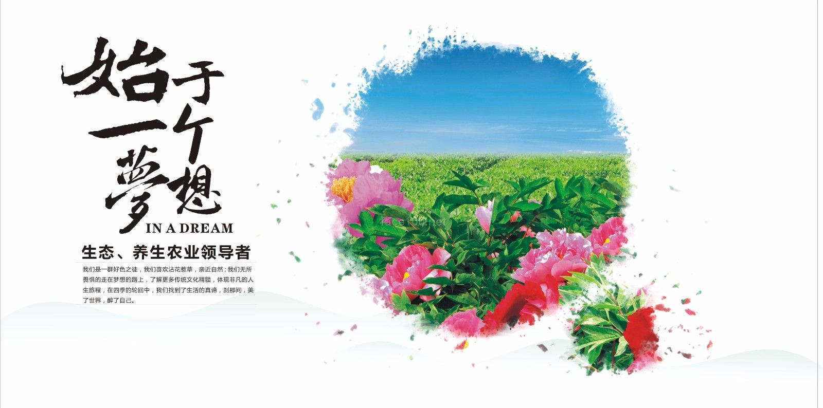 鳳丹花坊牡丹緊致嫩顏養(yǎng)膚面膜