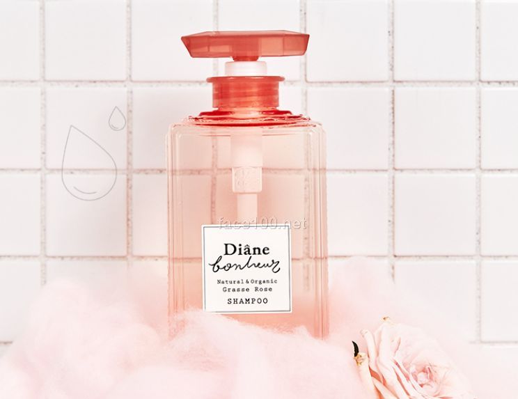黛絲恩Moist Diane柏娜露洗發(fā)水 護法素